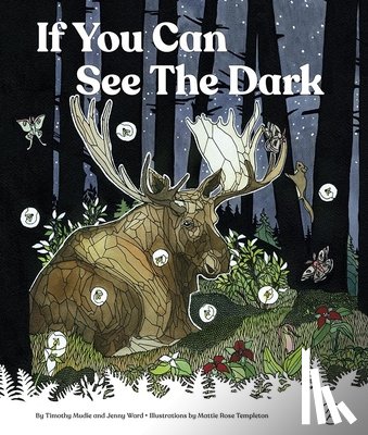 Mudie, Timothy - If You Can See the Dark