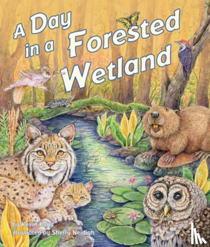 Kurtz, Kevin - A Day in a Forested Wetland