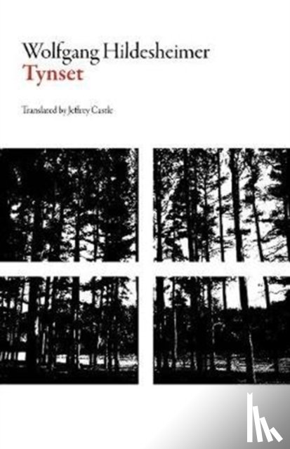 Hildesheimer, Wolfgang - Tynset