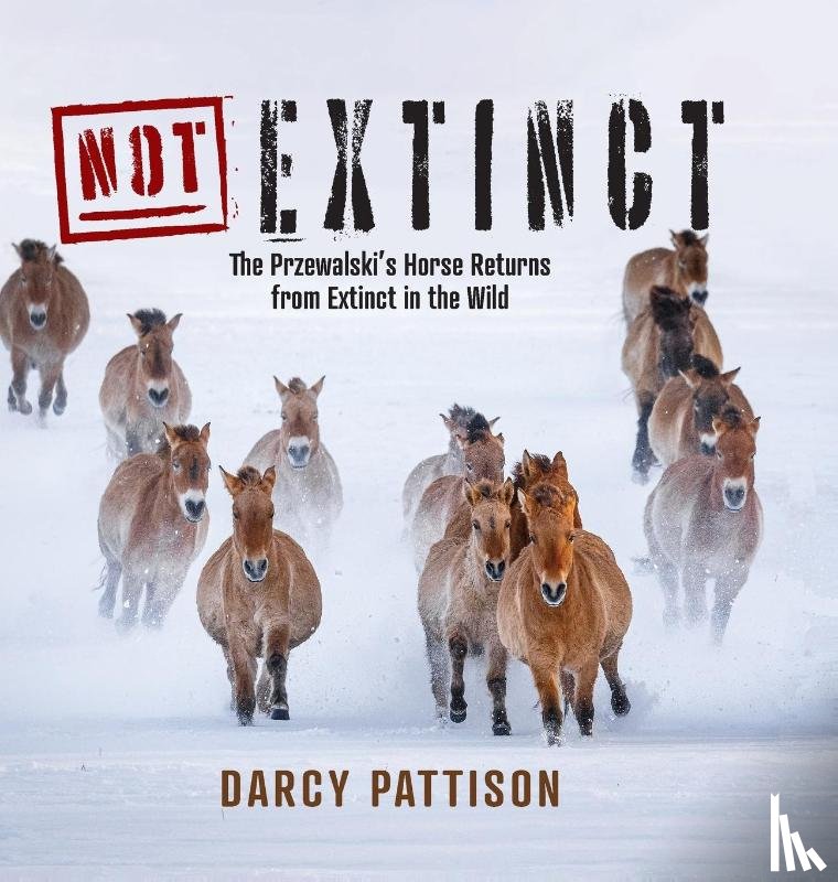 Pattison, Darcy - NOT Extinct