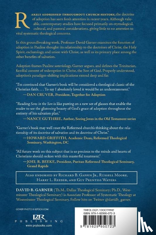 David B. Garner - Sons in the Son