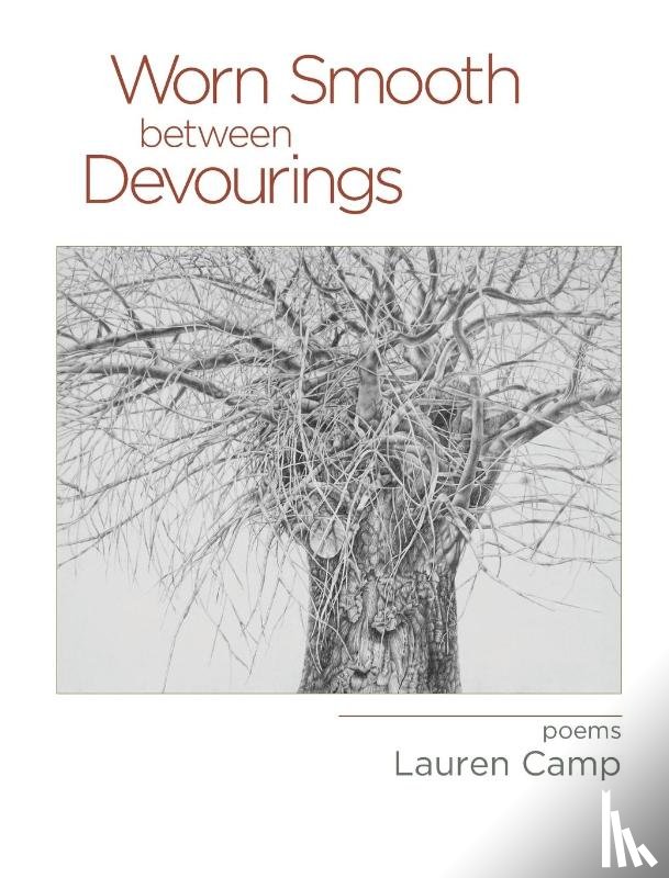Camp, Lauren - Worn Smooth between Devourings