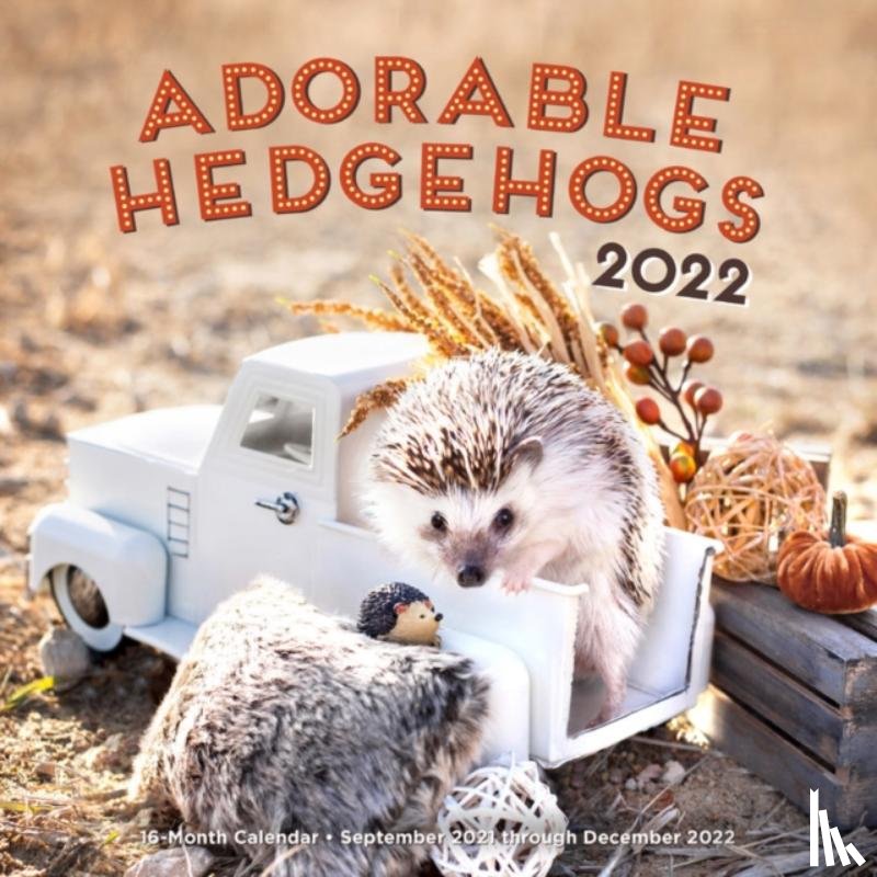 Editors of Rock Point - Adorable Hedgehogs 2022