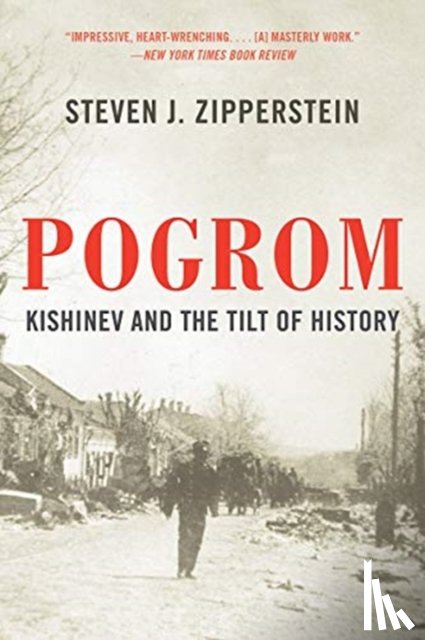 Zipperstein, Steven J. - Pogrom