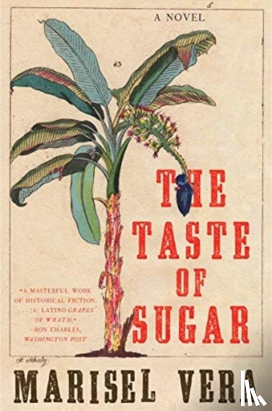 Vera, Marisel - The Taste of Sugar - A Novel