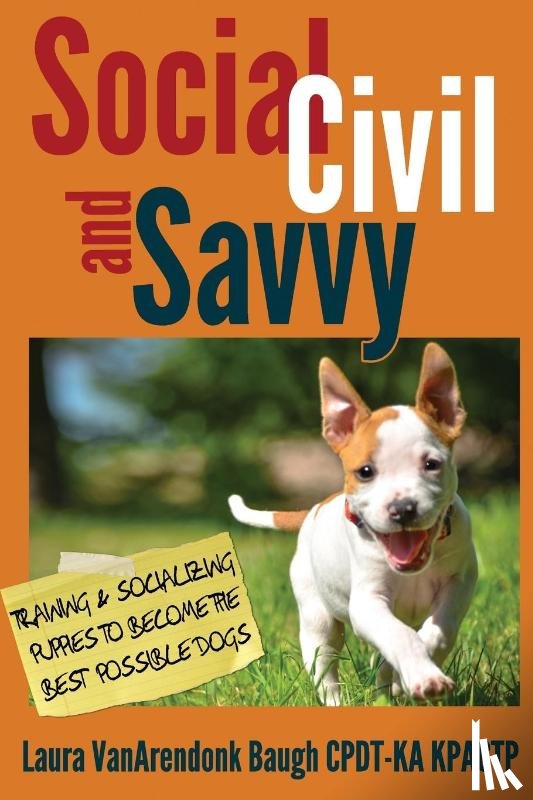 Baugh, Laura Vanarendonk - Social, Civil, and Savvy