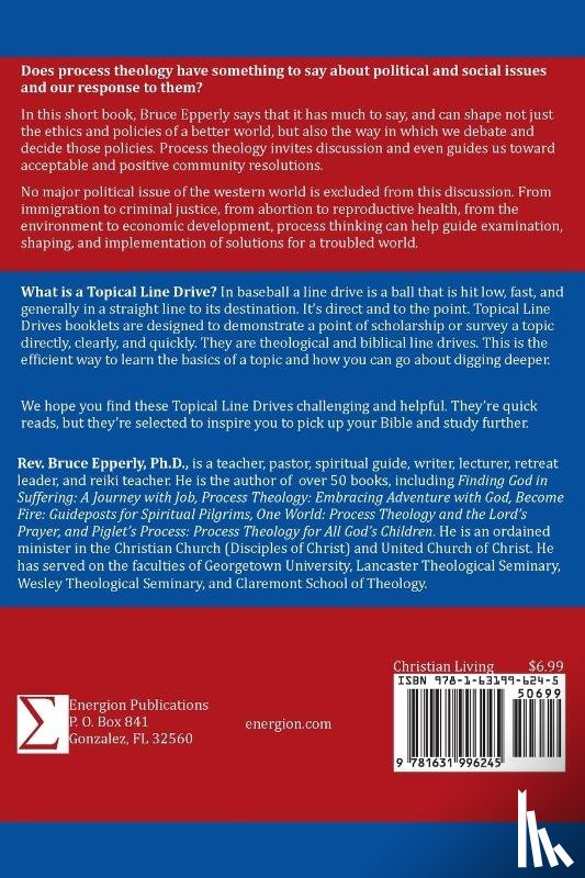 Epperly, Bruce G - Process Theology and Politics