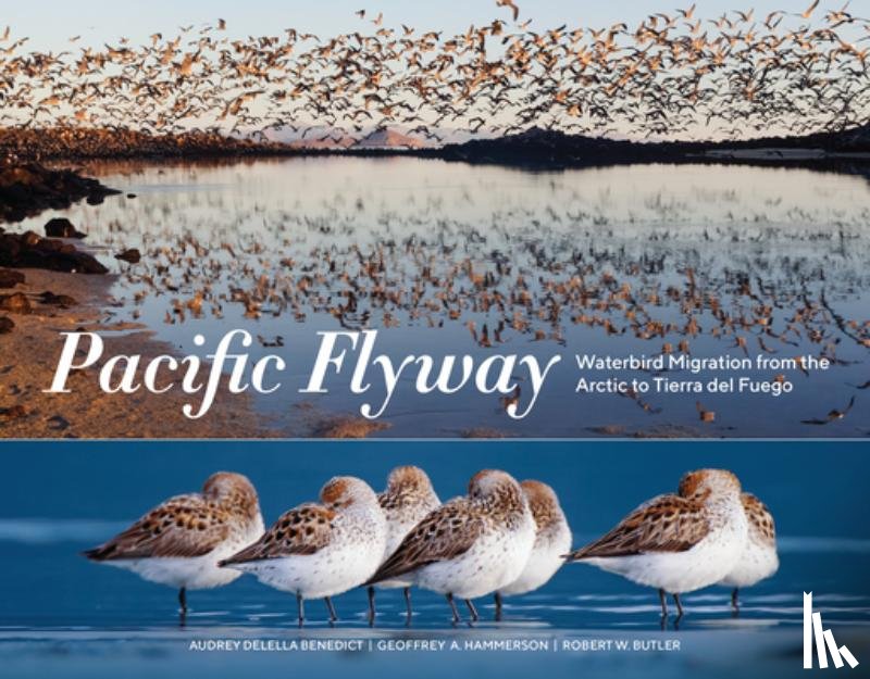 Benedict, Audrey Delella, Butler, Robert W., Hammerson, Geoffrey A. - Pacific Flyway