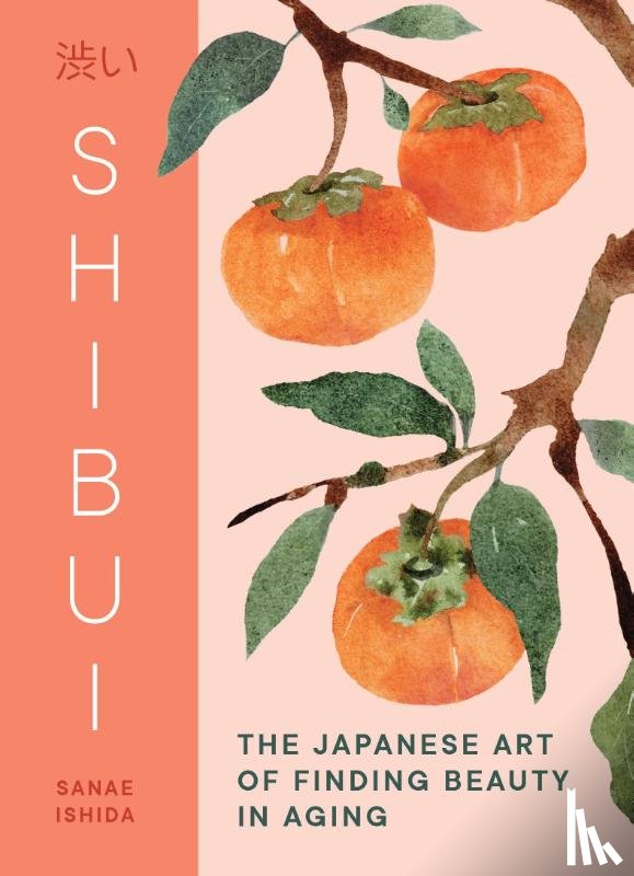 Ishida, Sanae - Shibui