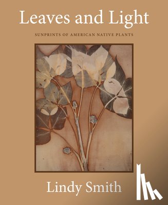 Smith, Lindy - Leaves and Light