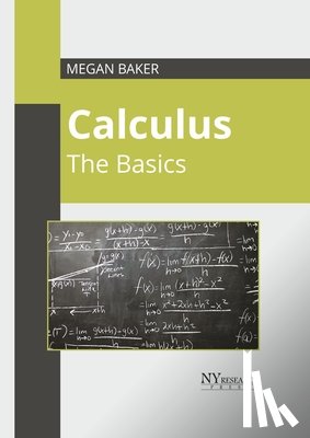  - Calculus: The Basics