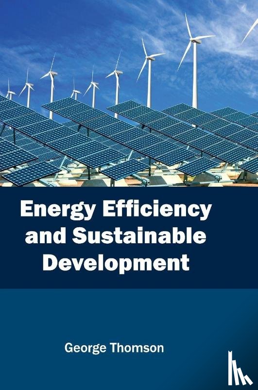  - Energy Efficiency and Sustainable Development