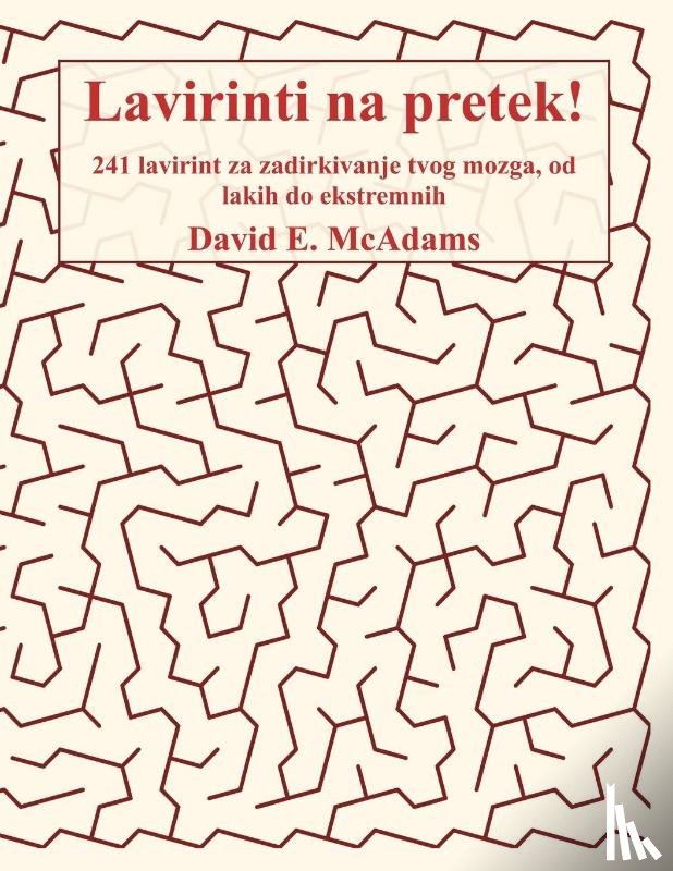 McAdams, David E. - Lavirinti na pretek!