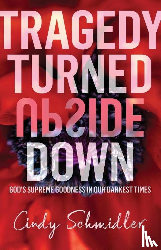 Schmidler, Cindy - Tragedy Turned Upside Down