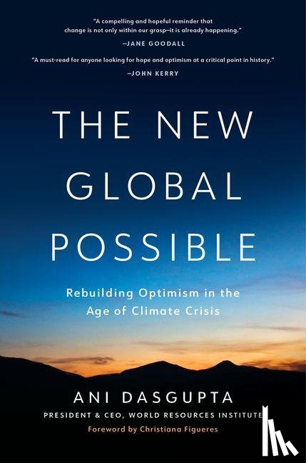 Dasgupta, Ani - The New Global Possible