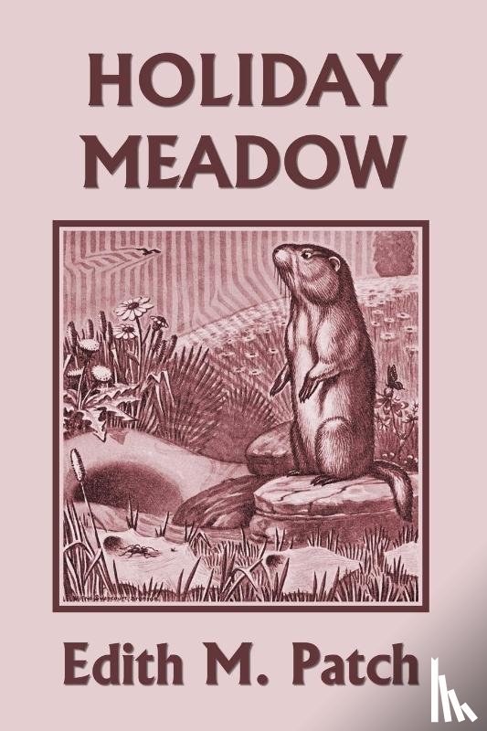 Patch, Edith M - Holiday Meadow (Yesterday's Classics)
