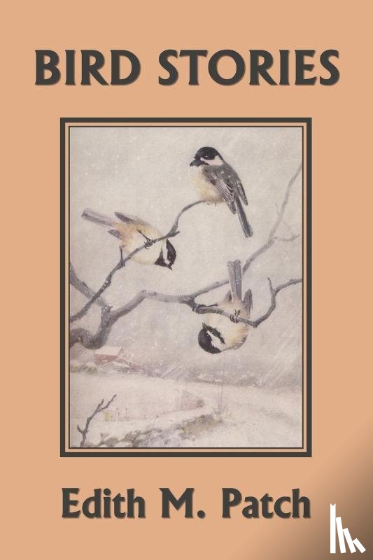 Patch, Edith M - Bird Stories (Yesterday's Classics)