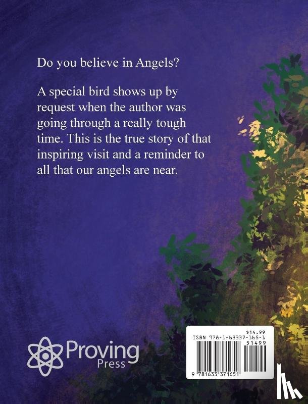 Pontious, Cinda - Angelo's Visit