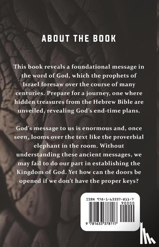 Ryabinov, Alyosha - The Hidden Elephant