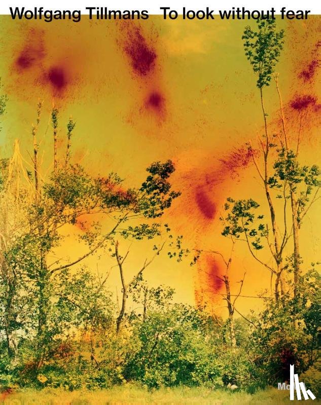  - Wolfgang Tillmans: To look without fear