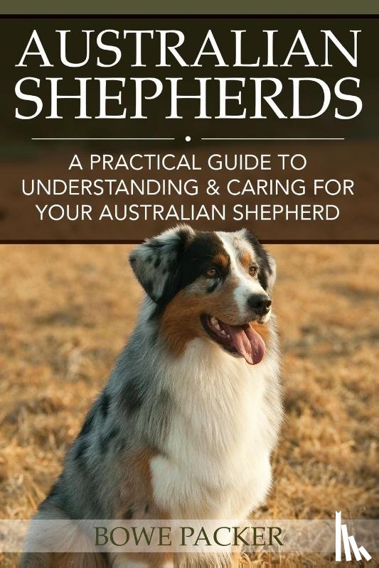 Packer, Bowe - Australian Shepherds