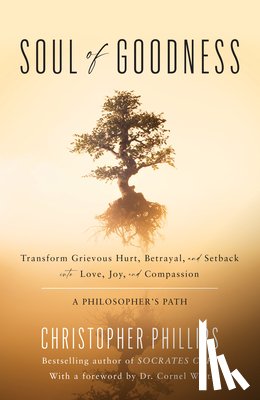 Phillips, Christopher - Soul of Goodness