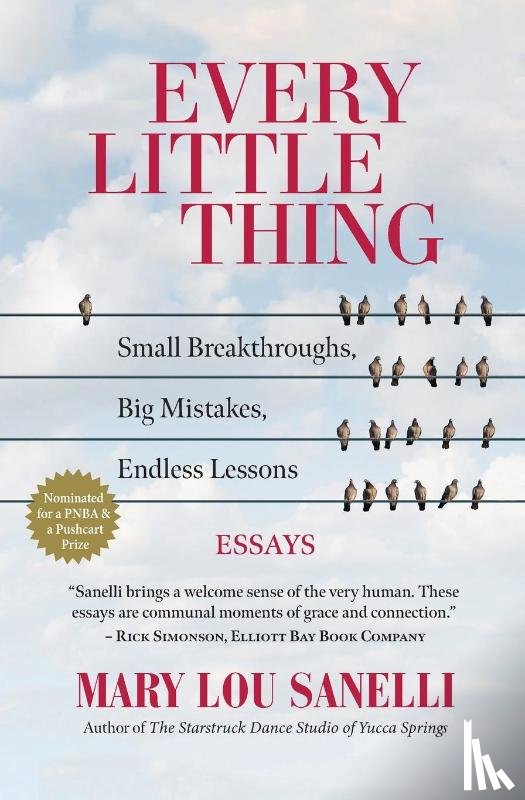 Sanelli, Mary Lou - Every Little Thing