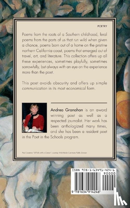 Granahan, Andrea - The Man with the Portable Love Room and Other Stray Thoughts