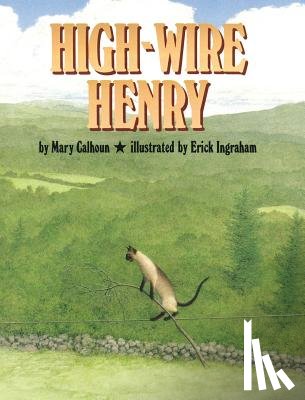 Calhoun, Mary, Ingraham, Erick - High-Wire Henry