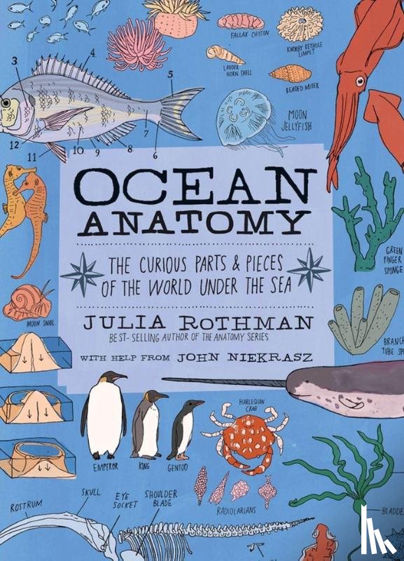 ,Julia Rothman - Ocean Anatomy: The Curious Parts & Pieces of the World Under the Sea