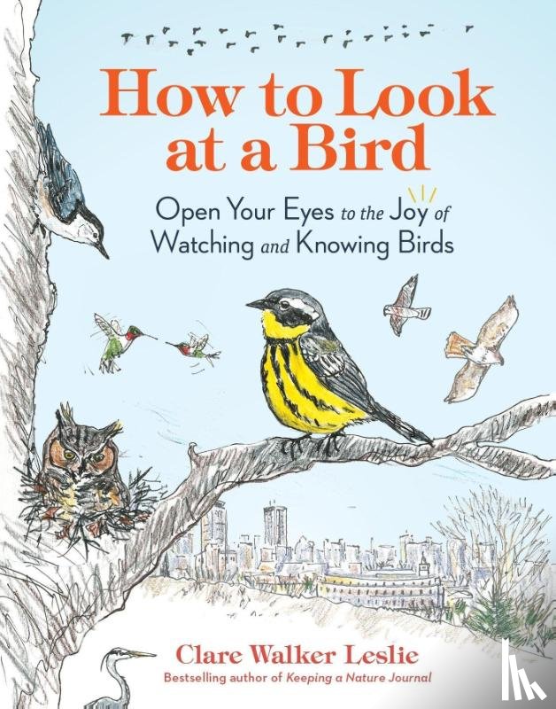 Walker Leslie, Clare - How to Look at a Bird
