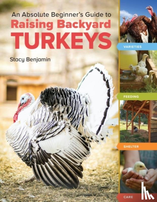 Benjamin, Stacy - An Absolute Beginner's Guide to Raising Backyard Turkeys