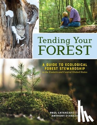 D'Amato, Anthony, Catanzaro, Paul - Tending Your Forest