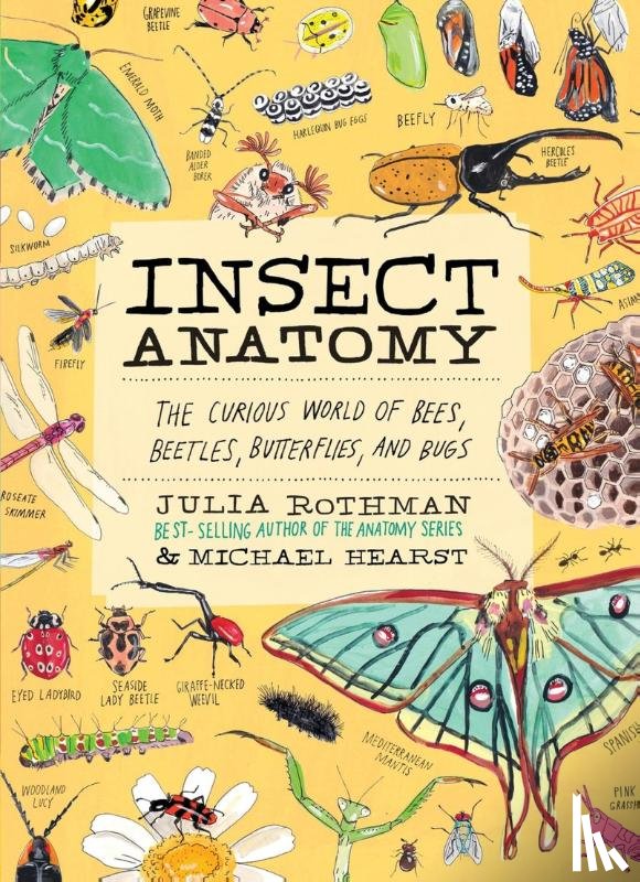 Rothman, Julia, Hearst, Michael - Insect Anatomy