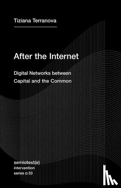 Terranova, Tiziana - After the Internet
