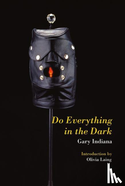 Indiana, Gary - Do Everything in the Dark