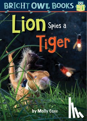 Coxe, Molly - Lion Spies a Tiger