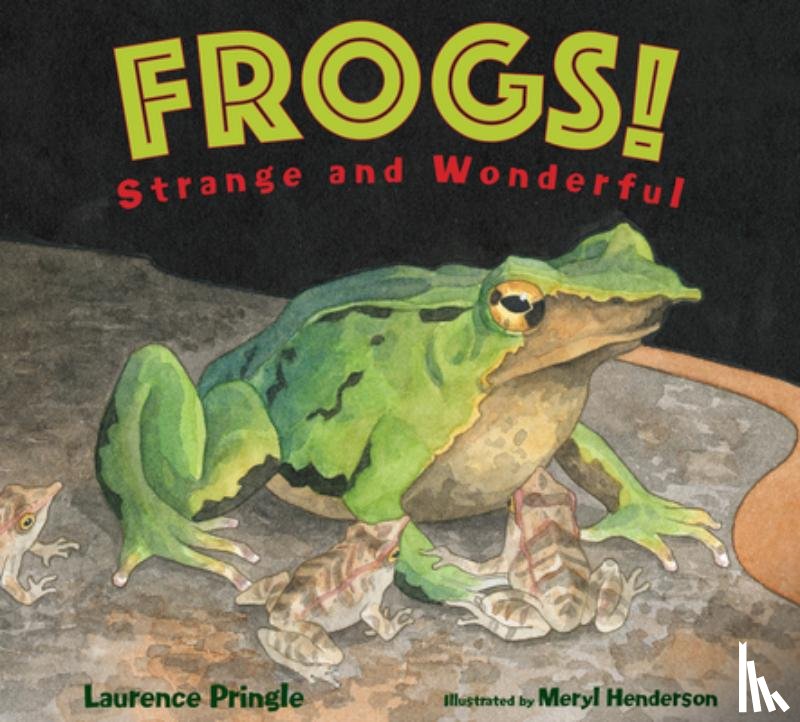 Pringle, L - Frogs!
