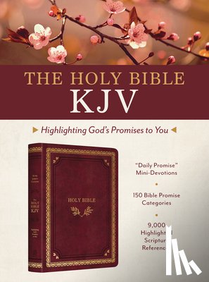Barbour Bibles - The Holy Bible Kjv: Highlighting God's Promises to You [Crimson & Gold]