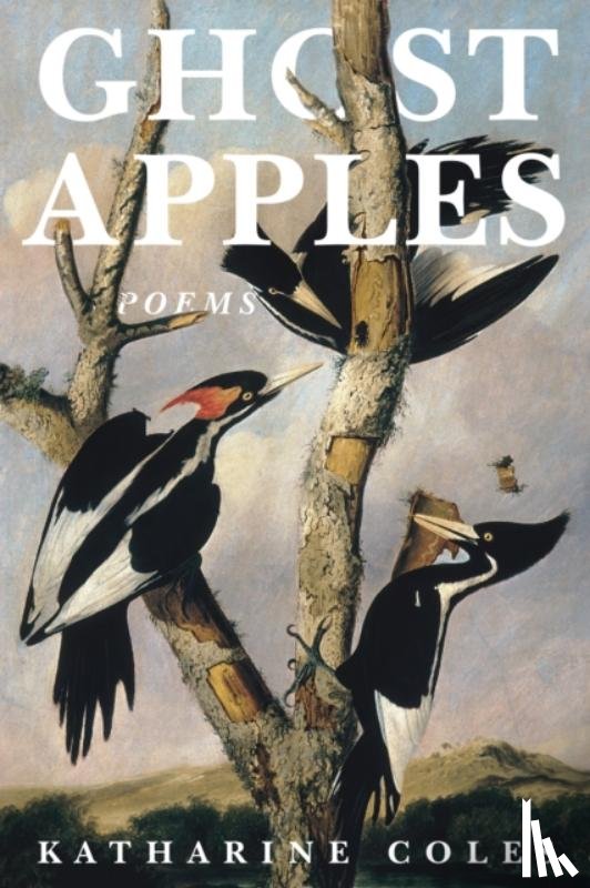 Coles, Katharine - Ghost Apples