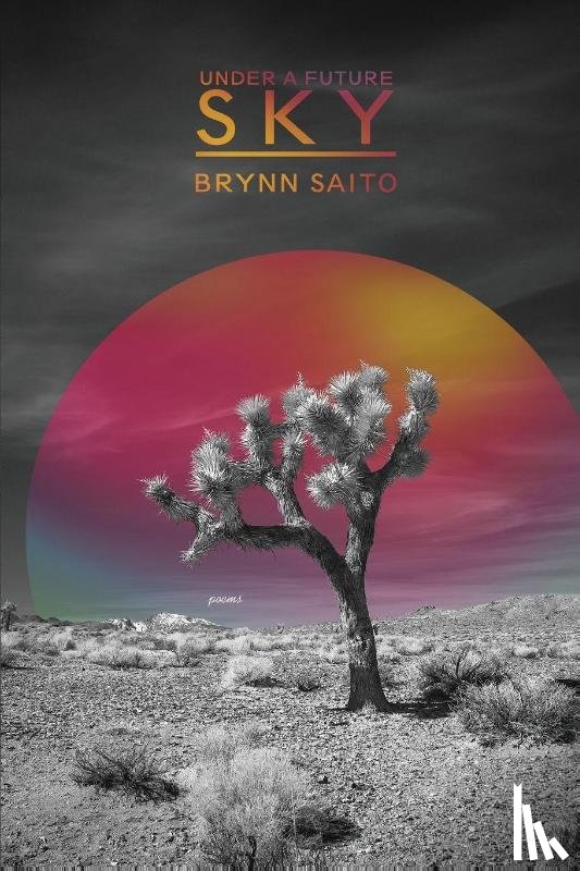 Saito, Brynn - Under a Future Sky