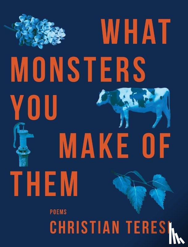 Teresi, Christian - What Monsters You Make of Them