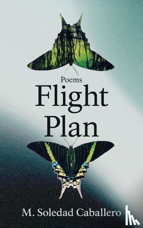 Caballero, M. Soledad - Flight Plan