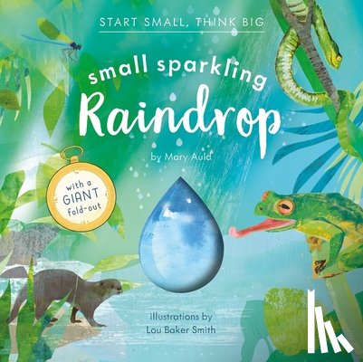 Auld, Mary - Small Sparkling Raindrop (Start Small, Think Big #5)
