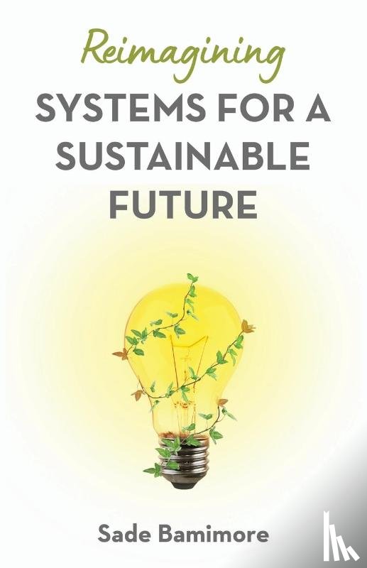 Bamimore, Sade - Reimagining Systems for a Sustainable Future