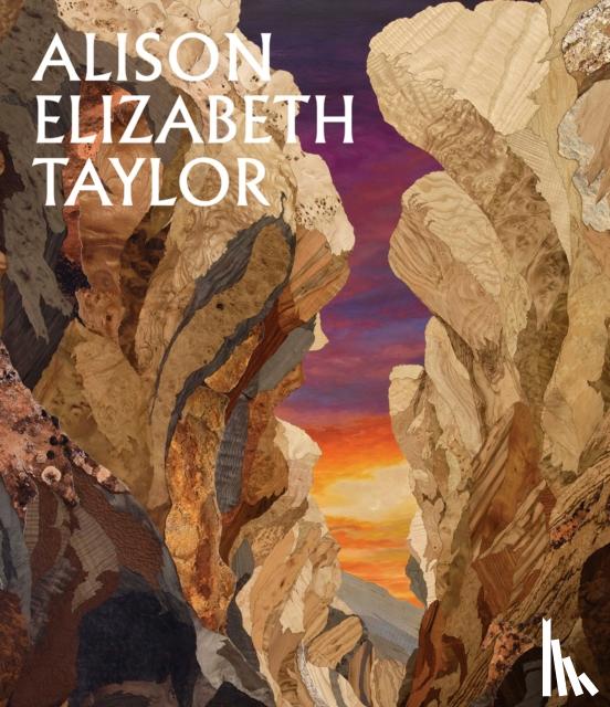  - Alison Elizabeth Taylor: The Sum of It