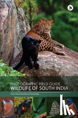 Surya Ramachandran, David Raju - Photographic Field Guide - Wildlife of South India