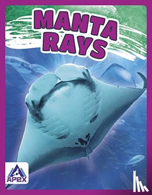 Lim, Angela - Manta Rays