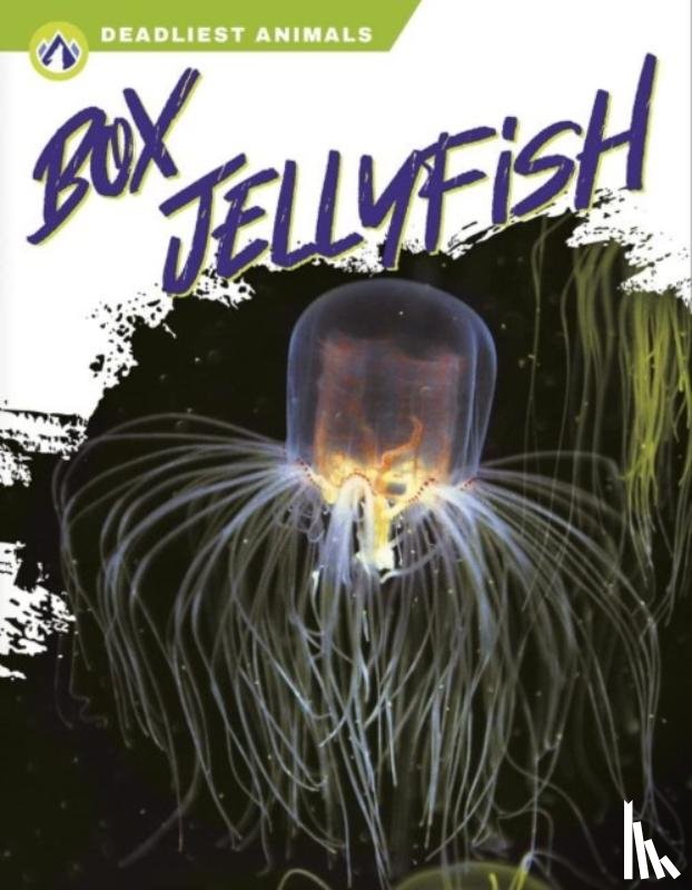 Stratton, Connor - Box Jellyfish