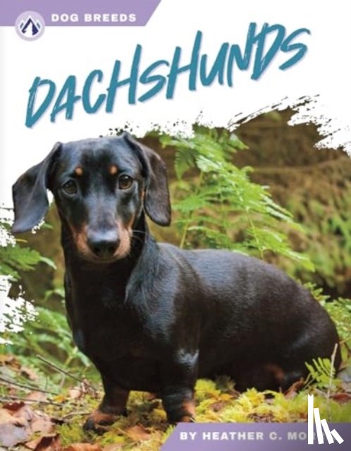Morris, Heather C. - Dachshunds